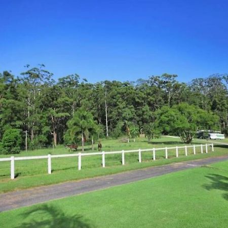 Cabin Country Retreat Paskins Farm Palmwoods Εξωτερικό φωτογραφία