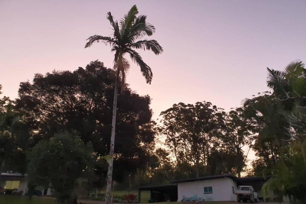 Cabin Country Retreat Paskins Farm Palmwoods Εξωτερικό φωτογραφία