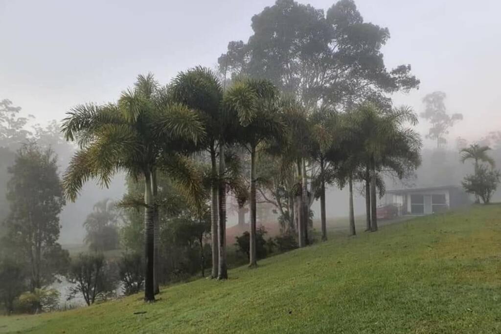 Cabin Country Retreat Paskins Farm Palmwoods Εξωτερικό φωτογραφία